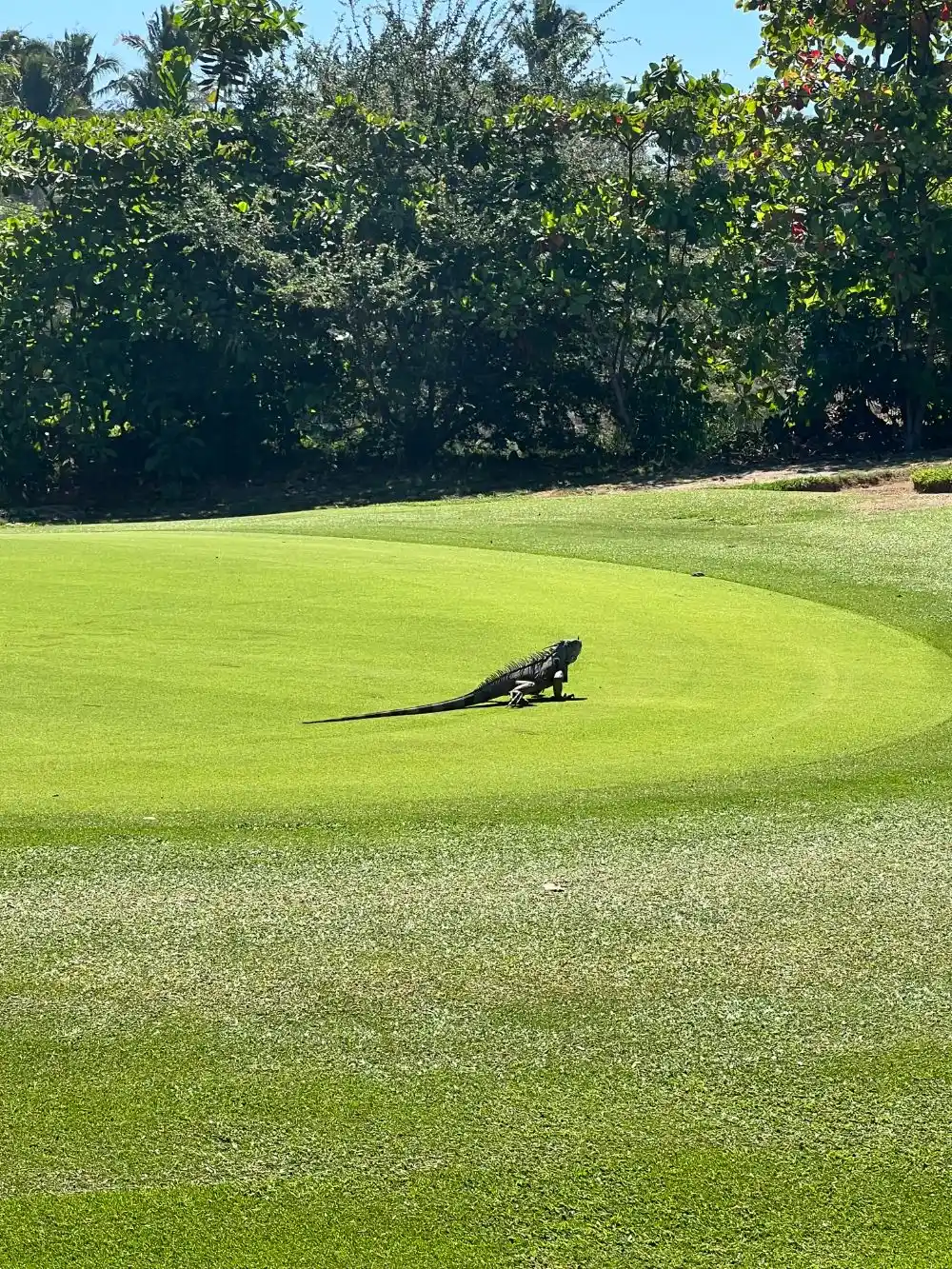 Higuera Golf Course Punta de Mita 1
